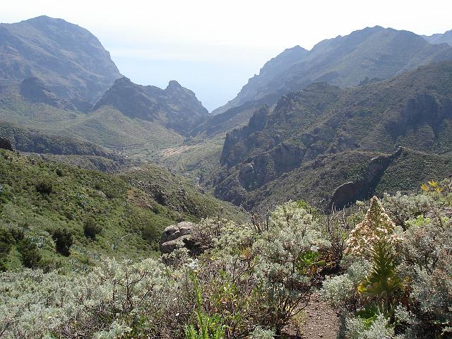 Schlucht_Masca_2.JPG - Schluchten auf Teneriffa